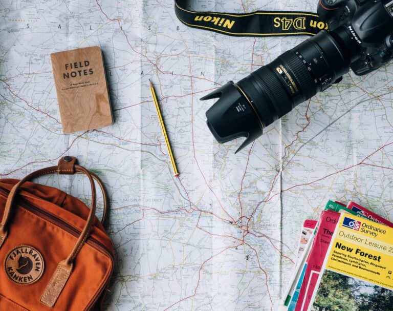 10 Best Things to do In New Forest