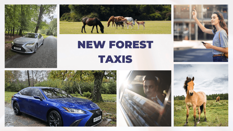 New Forest Taxis vehicle in Brockenhurst